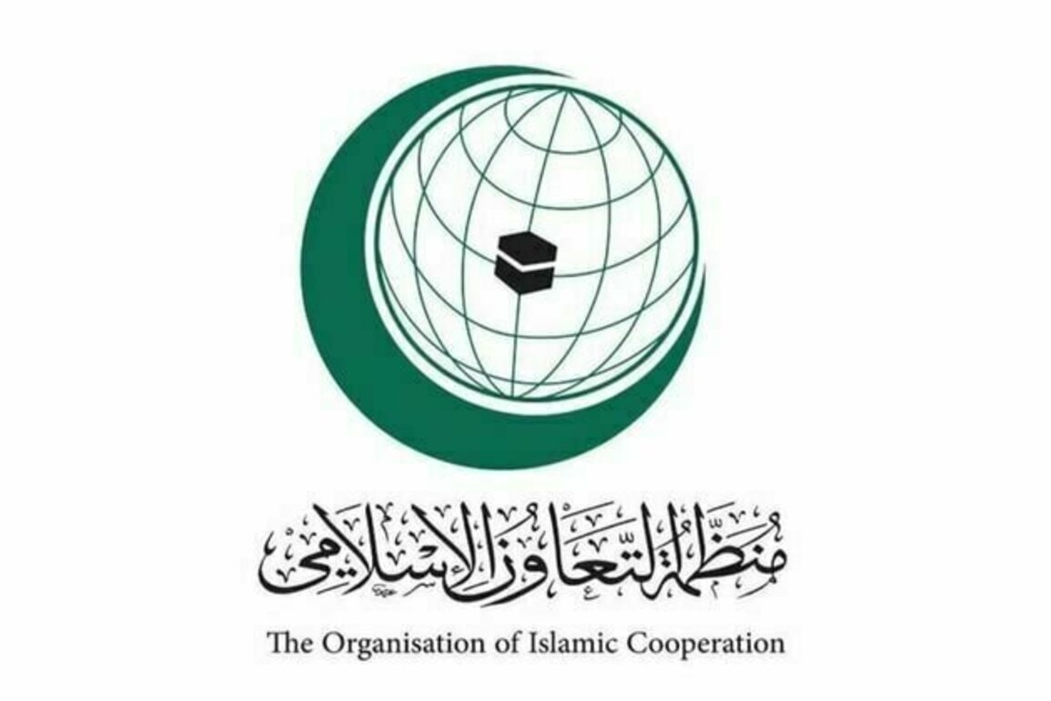 OIC to hold extraordinary meeting next Monday to discuss ongoing Israeli aggression against Palestinian people