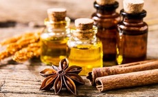 EQT backs Indonesia flavors, fragrances player