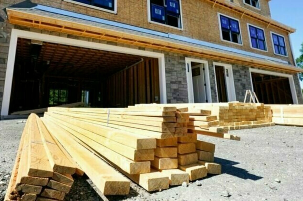 Trump orders probe into US lumber imports 