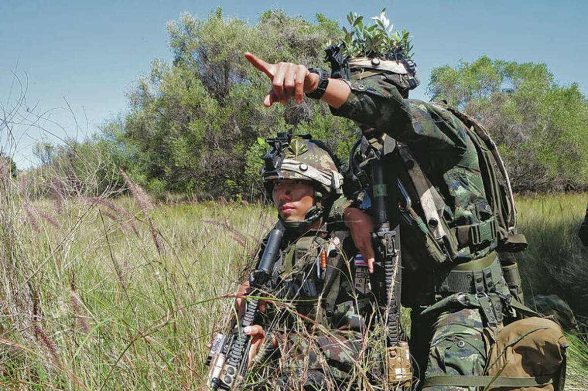 Army, allies ponder Pacific role