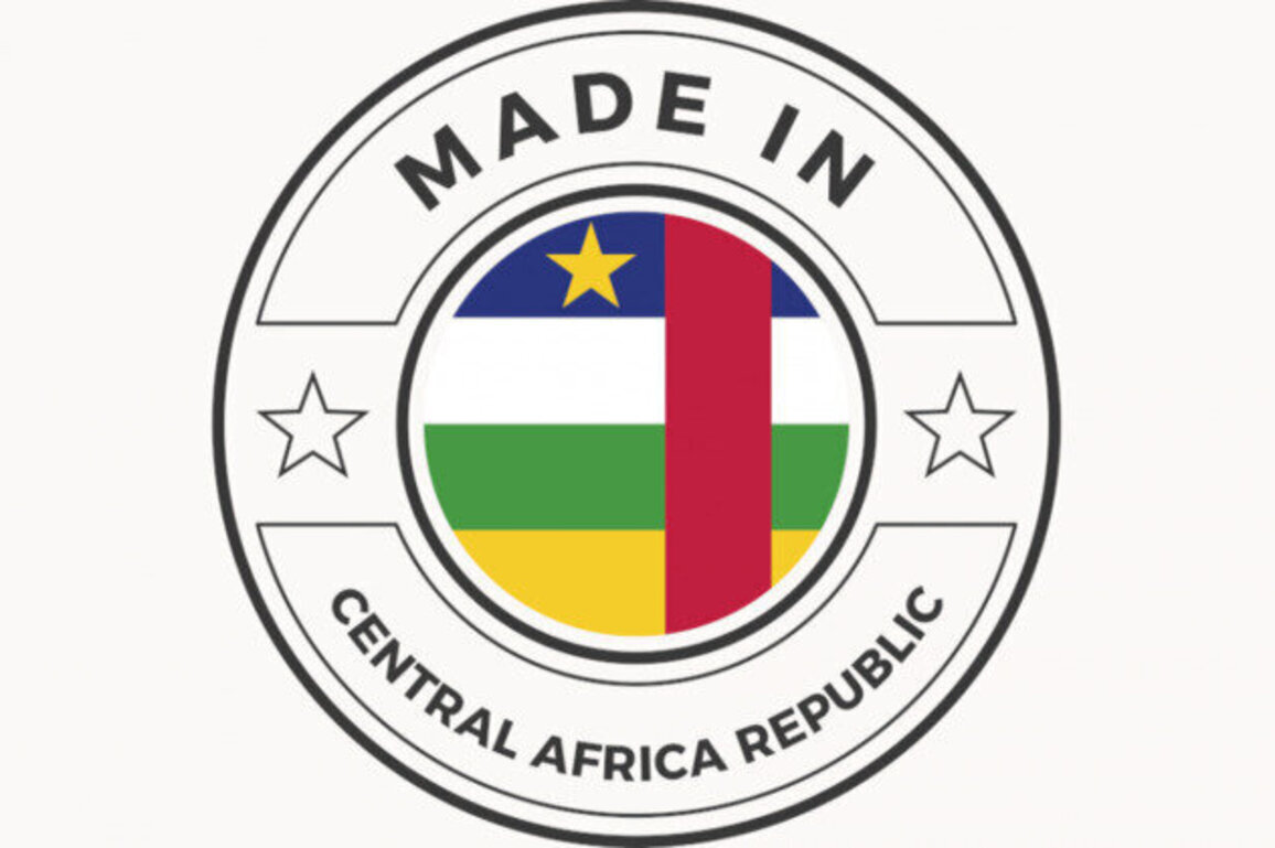 Boosting "Made in Central Africa": Cameroon pioneers tailored Special Economic Zones