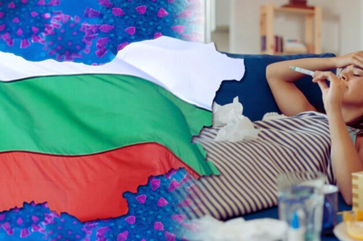 Flu Wave Hits Bulgaria: H3N2 Dominates, Peak Expected in February