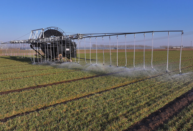 CHINA-HEBEI-TANGSHAN-SPRING FARMING (CN)