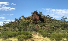 Carnaby has high hopes for Greater Duchess, Qld