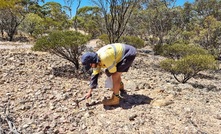 Sampling at Muckinbudin