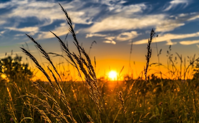 Sir Mark Spencer: "This would be a betrayal of all the work UK Farmers are doing to deliver food security and an improved environmental footprint."