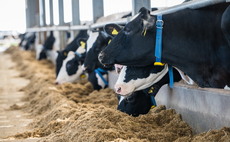 New report suggests 50 ways to be an outstanding dairy farmer