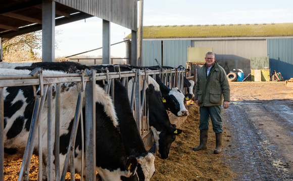 Early-maturing maize variety boosts silage yields on Oxfordshire dairy farm