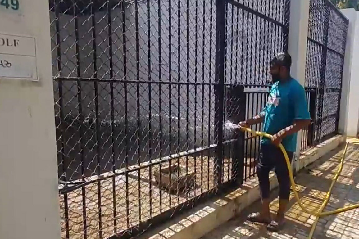 Special cooling measures introduced at Vadodara's Sayajibaug Zoo amid heatwave