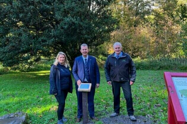 Poots marks 'The Florencecourt Yew' tree
