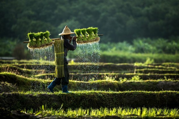 Global and historical lessons on how land reforms have unfolded