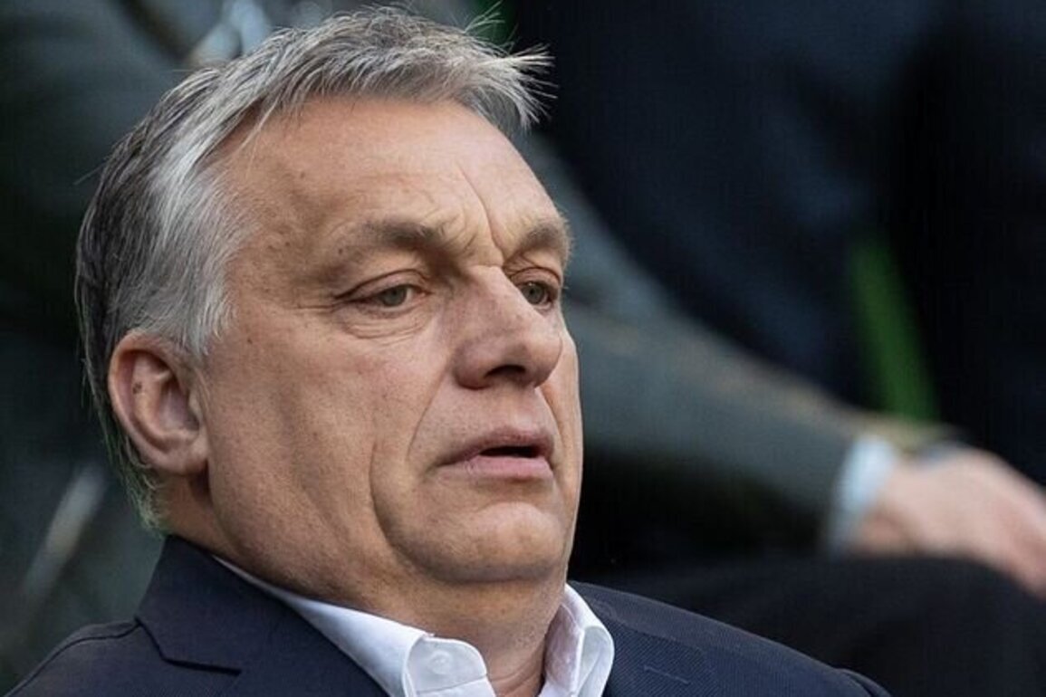 Hungary turned its back on the Hard Right  Israel cant
