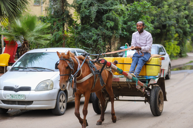 ETHIOPIA-ADDIS ABABA-WORLD HORSE DAY