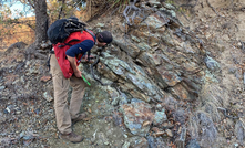  Field work at OREX defined magnetite skarn with strong copper mineralisation at the contact between Leatherwood and Escabrosa formations.