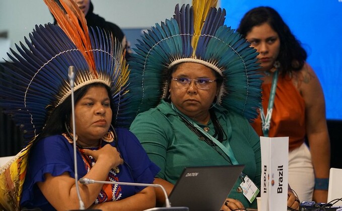 Members of Brazil's delegation at COP16 | Credit: COP16