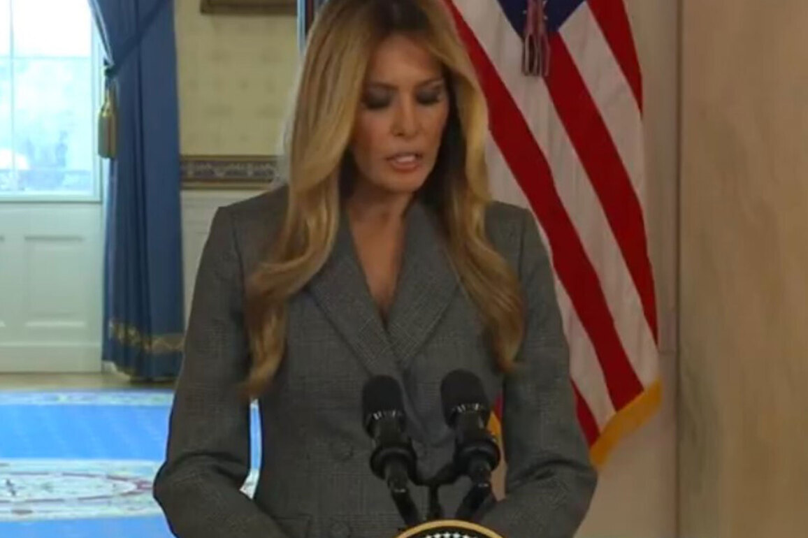 "Images and stories are completely false": US First Lady Melania Trump denies Epstein links