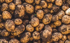 GB Potatoes appoints working group