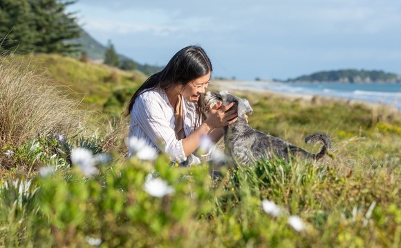 FountainVest buys New Zealand pet food business
