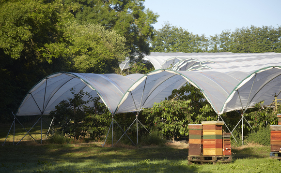 Fruit focus for historic mixed farm