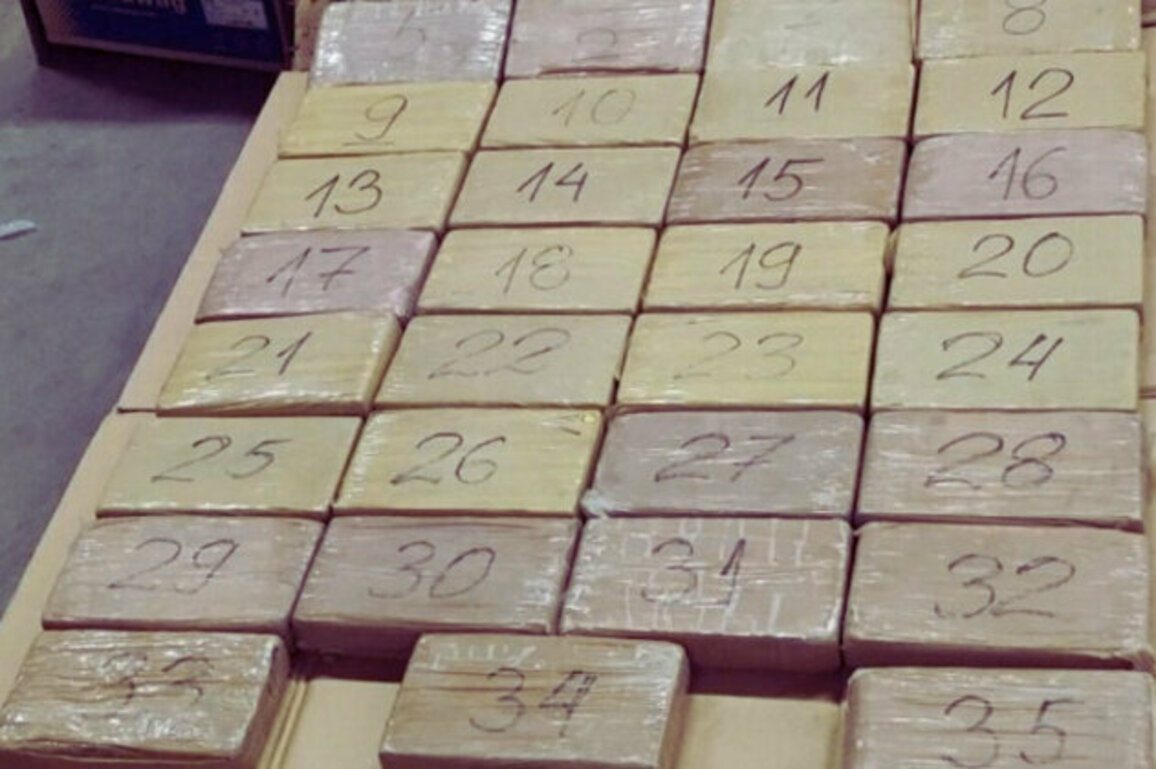 Over 40 kg of Cocaine Seized in Banana Shipment at Burgas Port