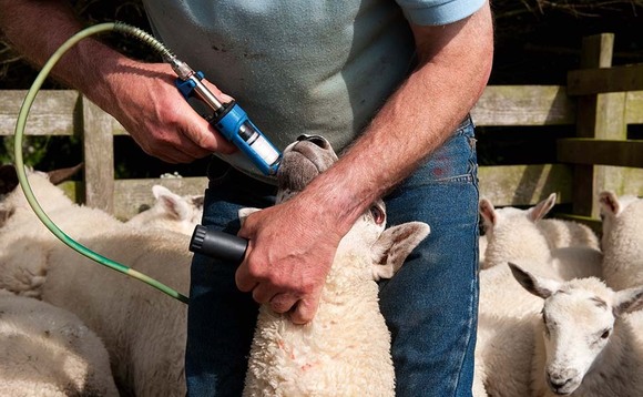 How EID technology can help in the fight against wormer resistance