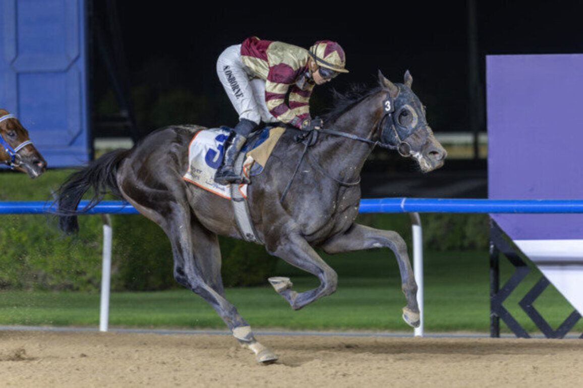 Brotherly love, Labwah, grab Kentucky points, Al Nayyir goes for gold