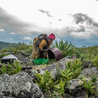 DR CONGO-SAKE-DISPLACED PEOPLE-DAILY LIFE