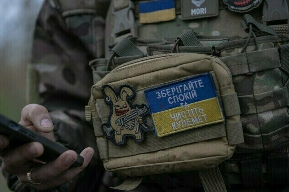 NATO troops on Ukraine battlefield would be legitimate targets  Putin
