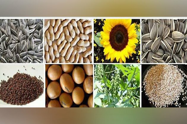 India's overall oilmeal exports rose 60% so far in 2022-23