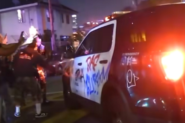 LAPD cruisers vandalized, officers assaulted during downtown party