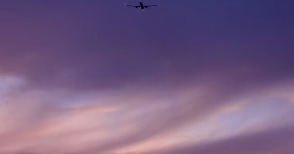 Big News Network.com