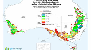 South Australian crop yields take a hit