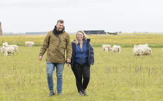Norfolk county council farm provides opportunity for new entrants