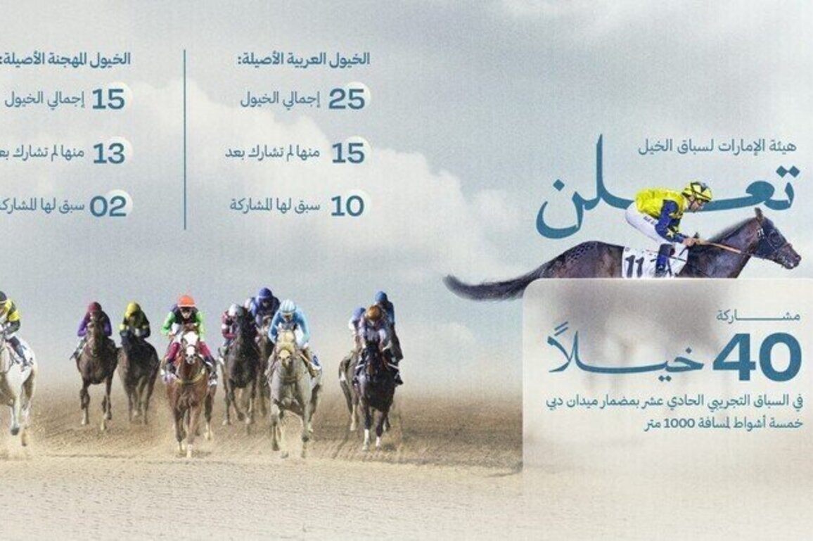 40 Arabian, thoroughbred horses participating in 11th trial race at Meydan Racecourse