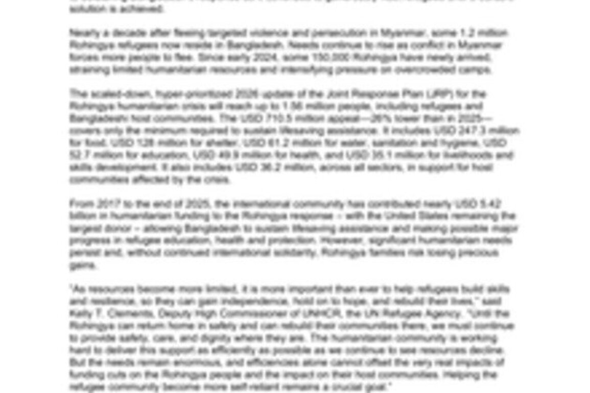 Bangladesh: UN and partners seek $710.5 million to meet critical needs of Rohingya refugees and host communities