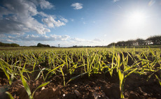 How Scots growers can get spring barley off to the best start