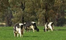 Monitor weather to predict grass tetany