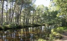 'Superpower': Report argues UK's National Parks could become 'landscape-scale' carbon sinks