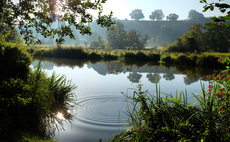 Study: Investment in river and wetlands restoration unlocks economic gains