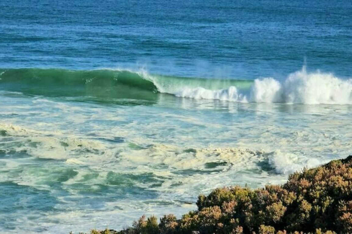 Mystery solved: our tests reveal the tiny algae killing fish and harming surfers on SA beaches