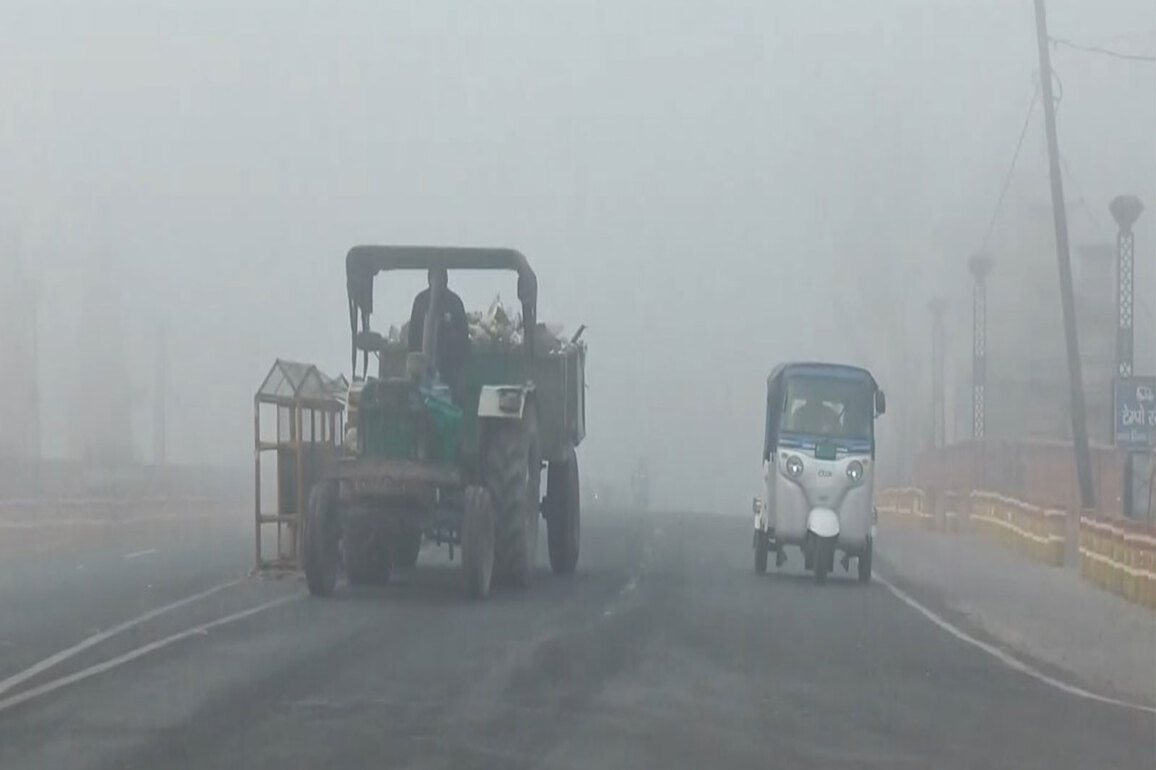 UP: Moradabad wakes up to thick fog amid slight temperature dip; commuters' visibility impacted