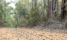 Alcoa's Huntly mine landscape.