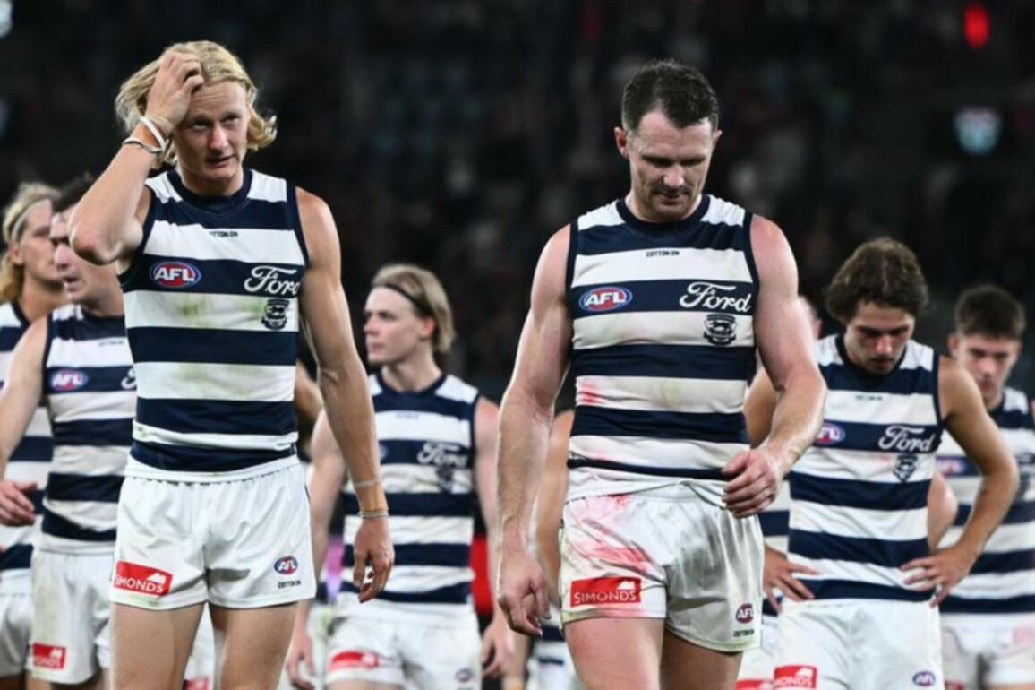 Cats' eyes on Stewart, Smith ahead of Lions blockbuster