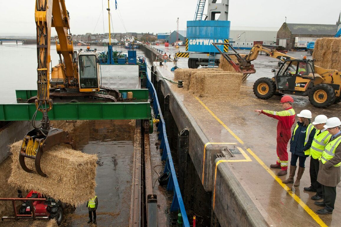 North and north-east machinery rings unveil 100m merger plan