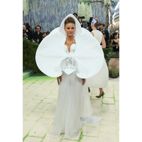 Met Gala 2026: Natasha Poonawalla embraces art-inspired fashion in striking floral look