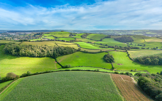 Farmers caught on 'agricultural treadmill' as incomes fail to improve in 50 years