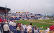 Cat scratches new name in ball park