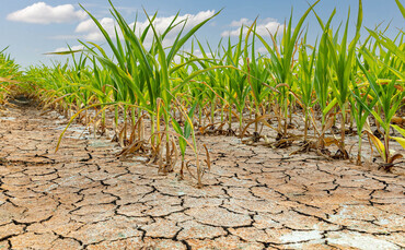 Public urged to think about water use in order to protect farming