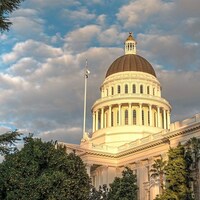 Sacramentos latest cynical gut-and-amend