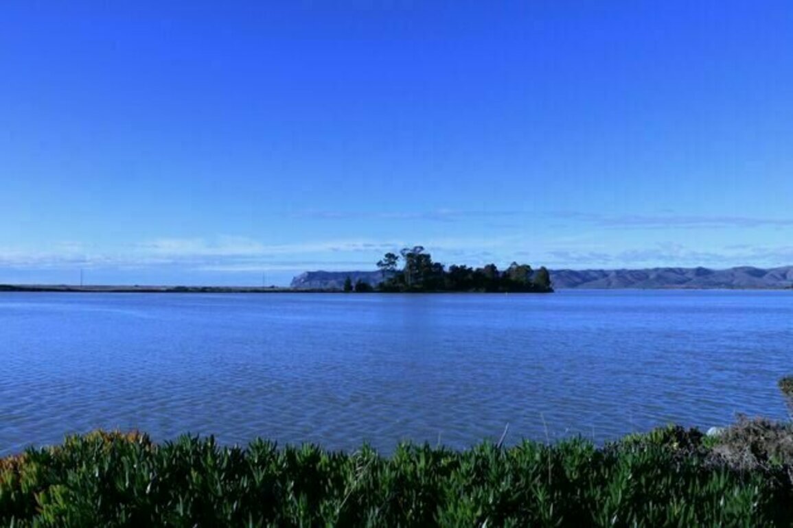Rising seas threaten to swallow one of NZ's oldest settlement sites - new research